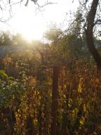 дом, Харьков, Павлово Поле