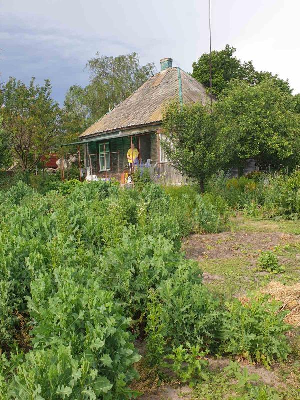 Дом, 2-кімн., Березовка, Харьковский район