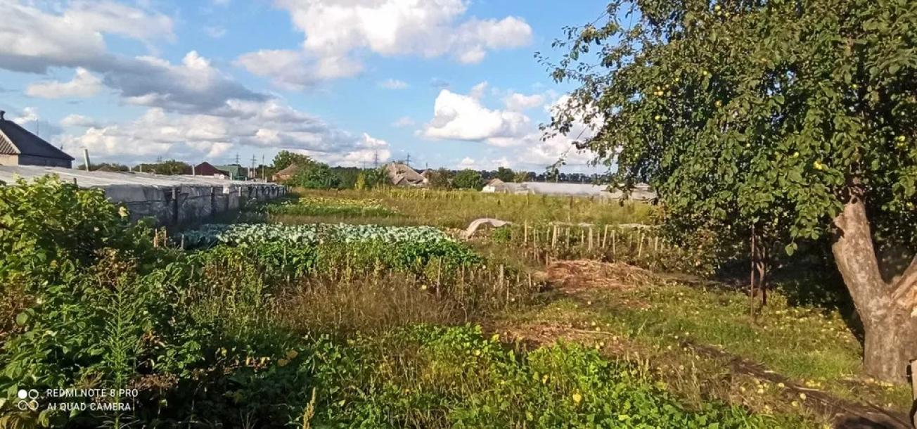 Дом, 4-кімн., Зеленый Колодезь, Чугуевский район