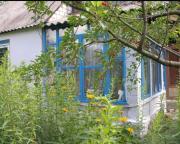 дом, Введенка, Харьковская область