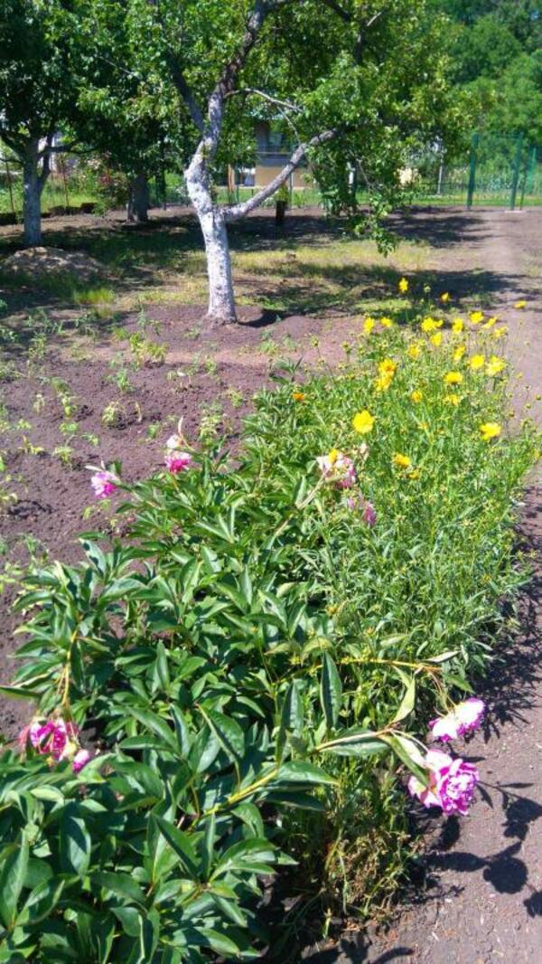 Дача, 1-кімн., Зеленый Колодезь, Харьковский район