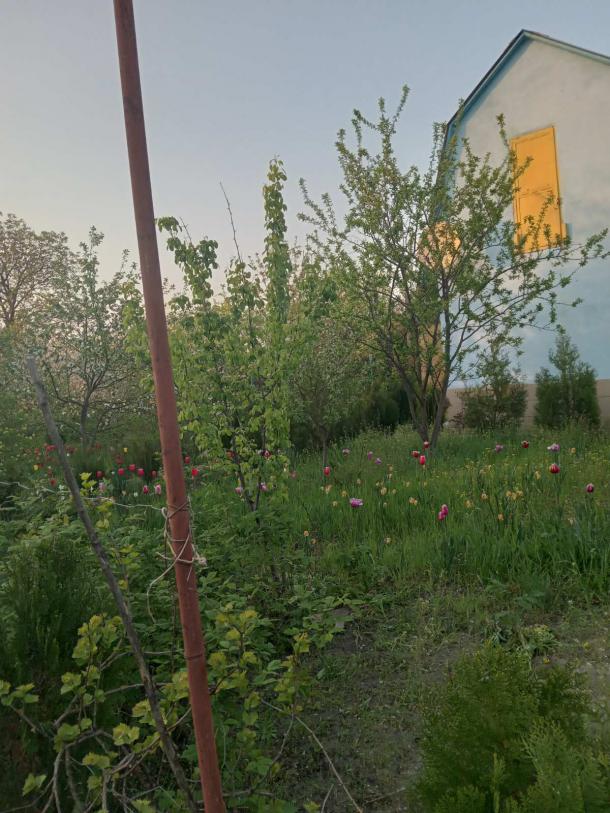 Дача, 3-кімн., Харьков, ХТЗ