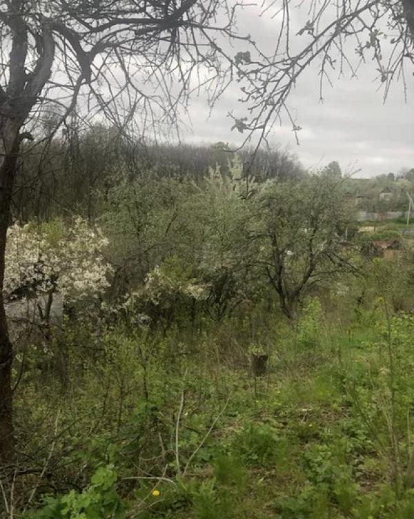 Дом, 3-кімн., Бабаи, Харьковский район