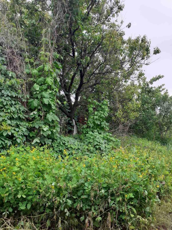 Дом, 3-кімн., Безлюдовка, Харьковский район