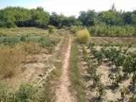 дом, Печенеги, Харьковская область