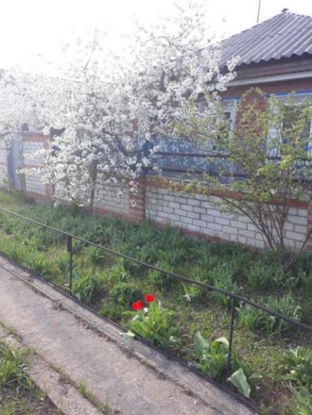 Купить дом, Клугино-Башкировка, Харьковская область