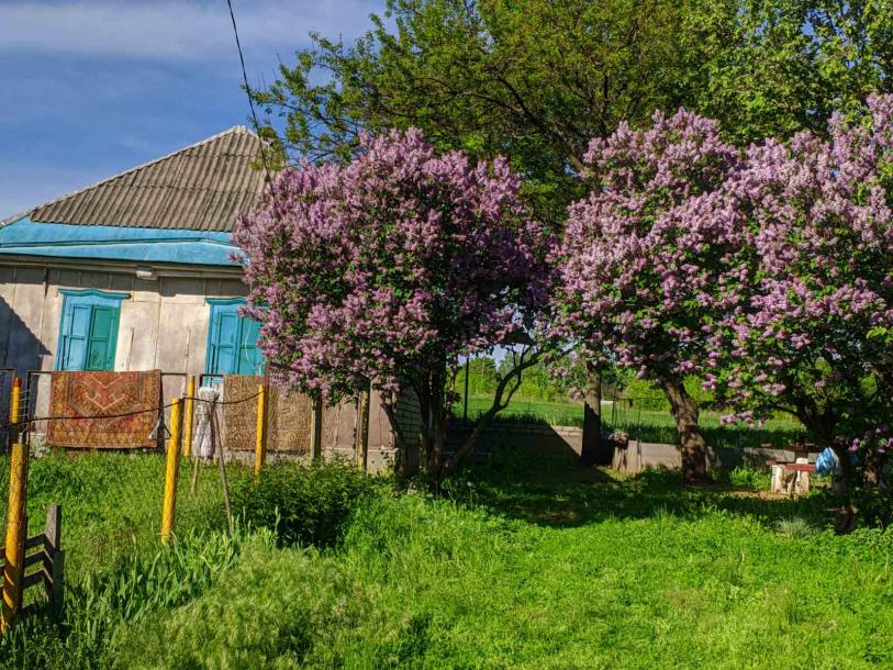 Купить дом, Замерцы, Харьковская область