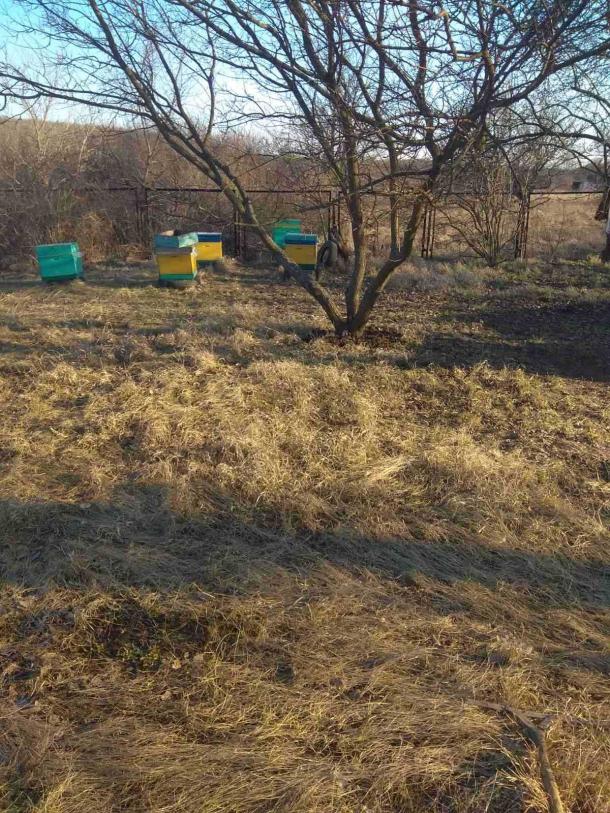 Дом, 4-кімн., Терновая (Чугуев), Чугуевский район