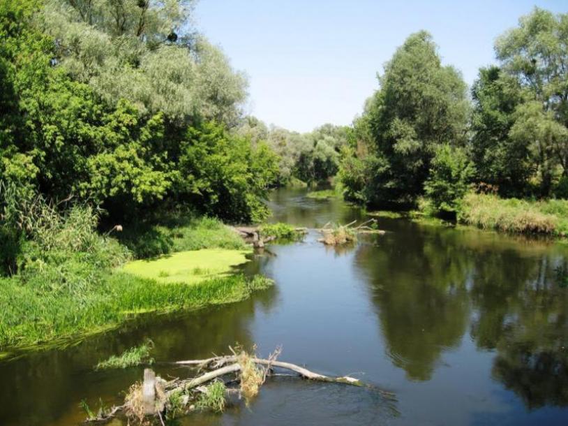Дом, 4-кімн., Терновая (Чугуев), Чугуевский район