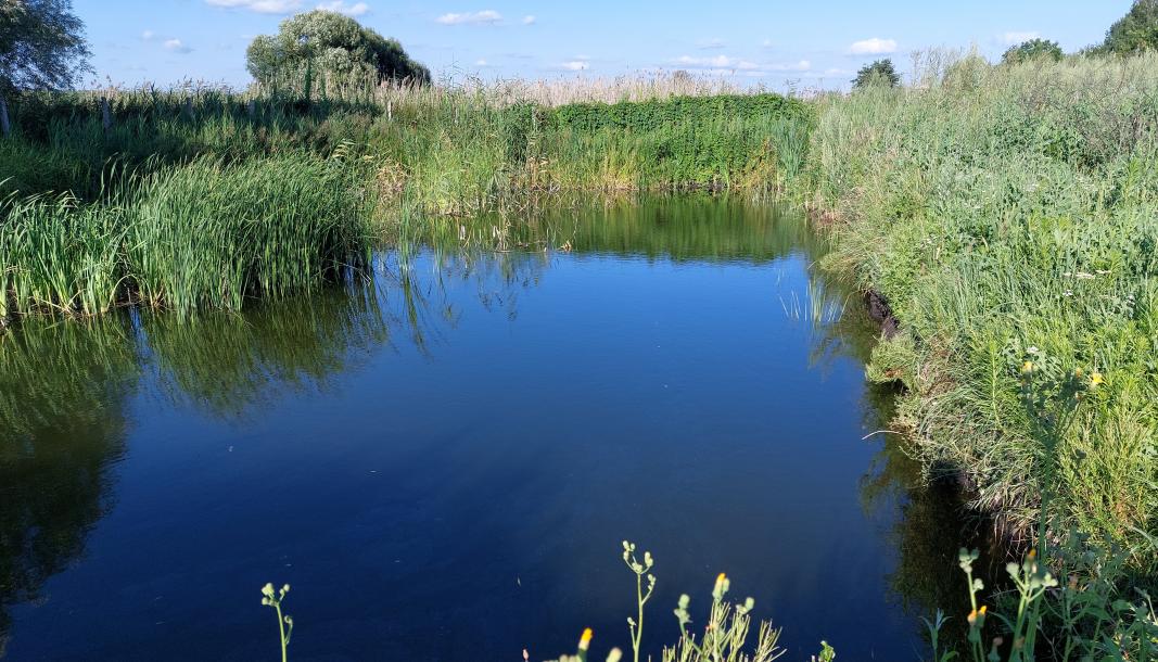 Дом, 4-кімн., Водяховка, Чугуевский район