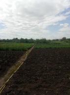 дом, Печенеги, Харьковская область