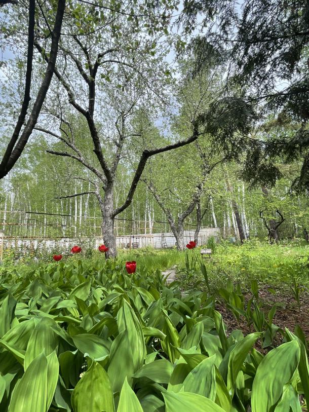 Дача, 3-кімн., Безлюдовка, Харьковский район