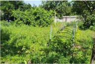 дом, Харьков, Аэропорт