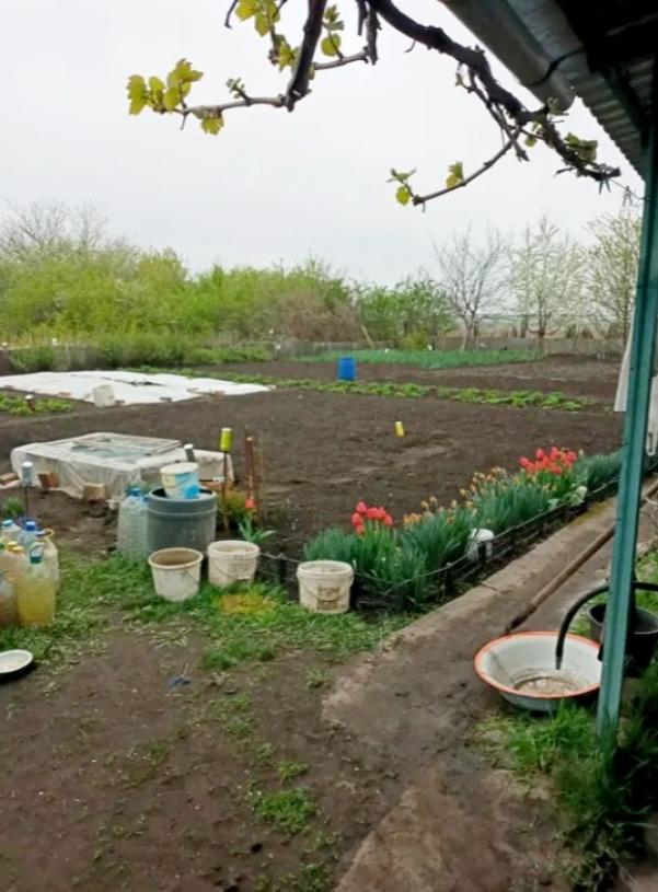 Дача, 1-кімн., Харьков, Докучаевское