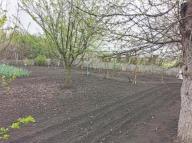 дом, Харьков, Докучаевское