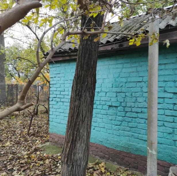 Дача, 1-кімн., Харьков, ХТЗ