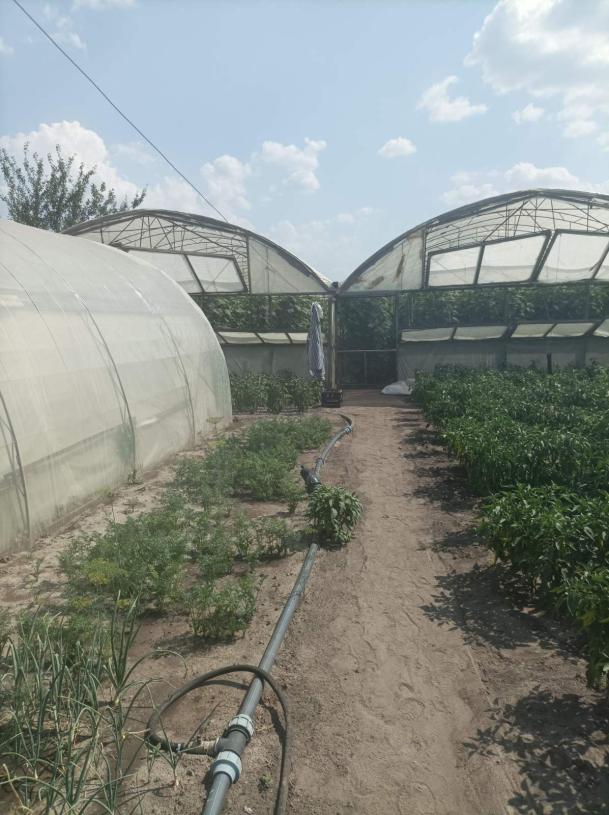 Дом, 1-кімн., Введенка, Чугуевский район