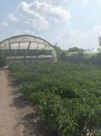 дом, Введенка, Харьковская область