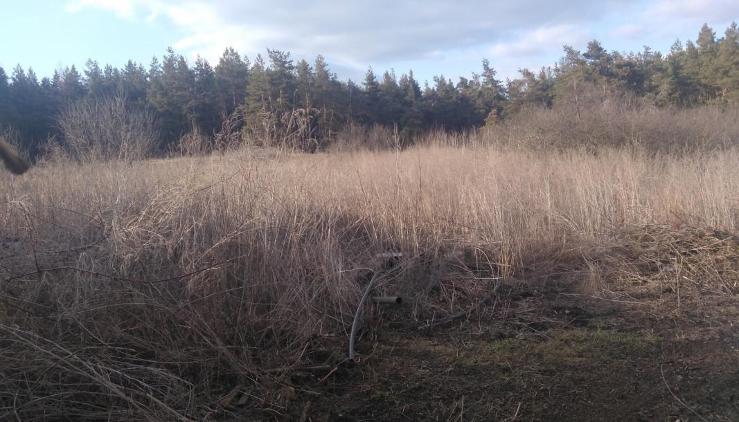 Дом, 3-кімн., Терновая (Чугуев), Чугуевский район
