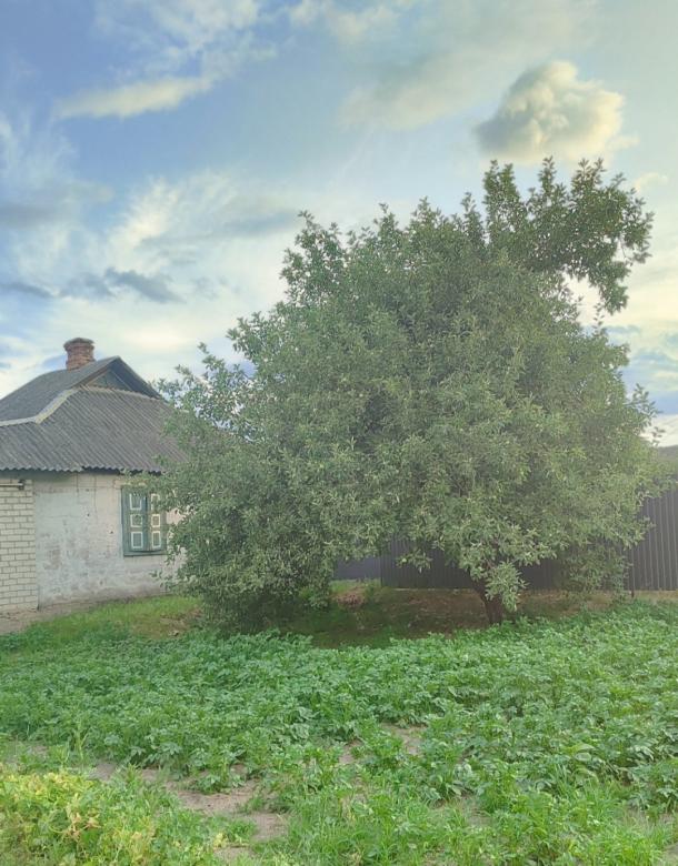 Дом, 4-кімн., Змиев, Чугуевский район