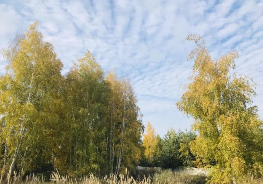 Дом, 4-кімн., Харьков, Песочин