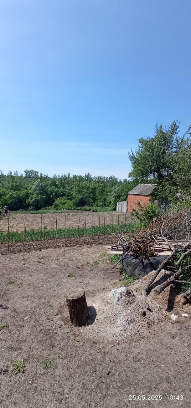 Дом, 2-кімн., Золочев, Богодуховский район
