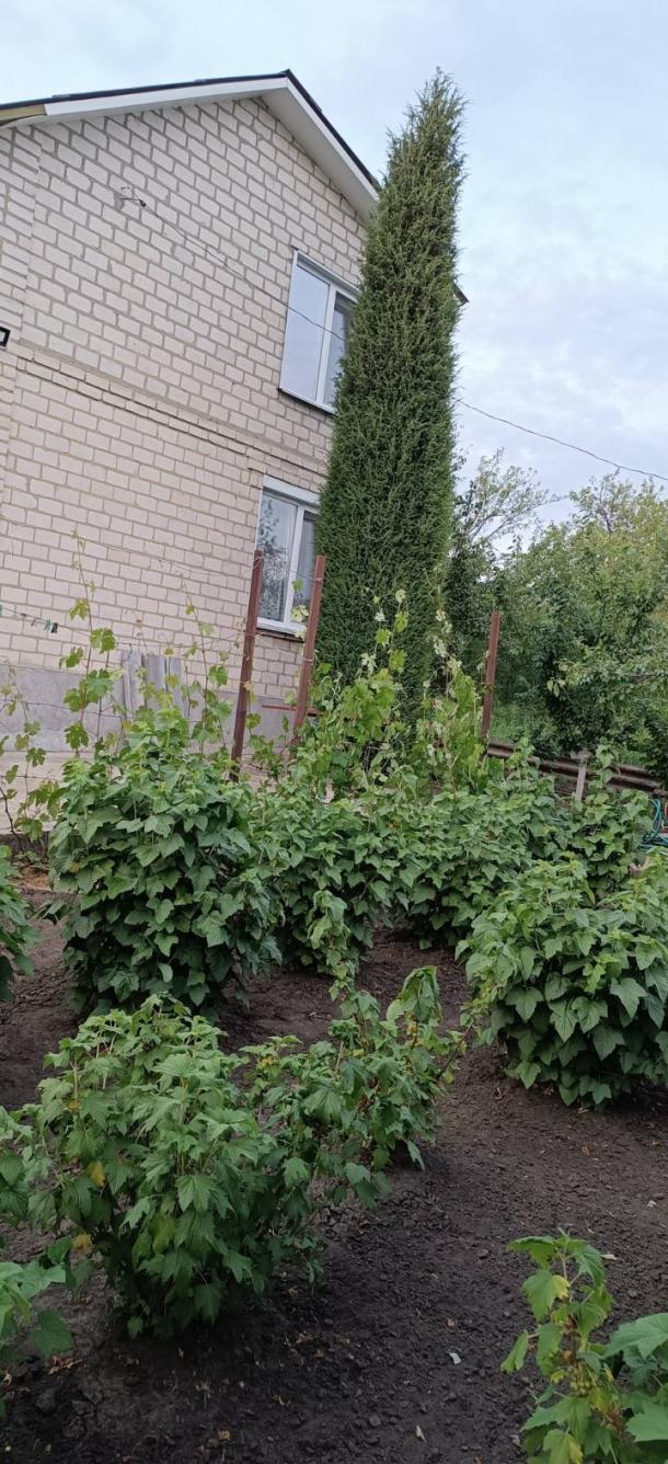 Дача, 2-кімн., Сороковка, Харьковский район