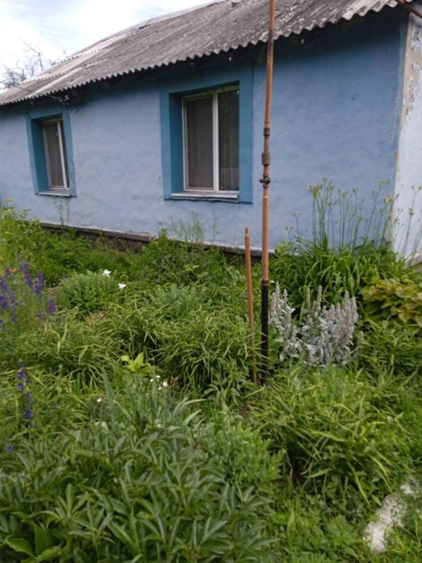 Дом, 4-кімн., Чкаловское, Чугуевский район
