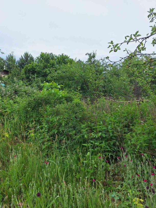 Дом, 3-кімн., Харьков, Немышля