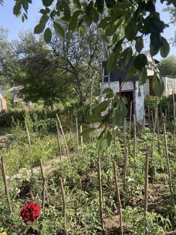 Дача, 1-кімн., Подворки, Харьковский район