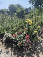 дом, Подворки, Харьковская область