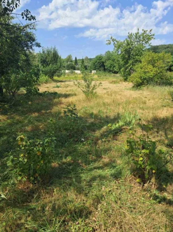 Дом, 2-кімн., Караван(Дергачи), Харьковский район