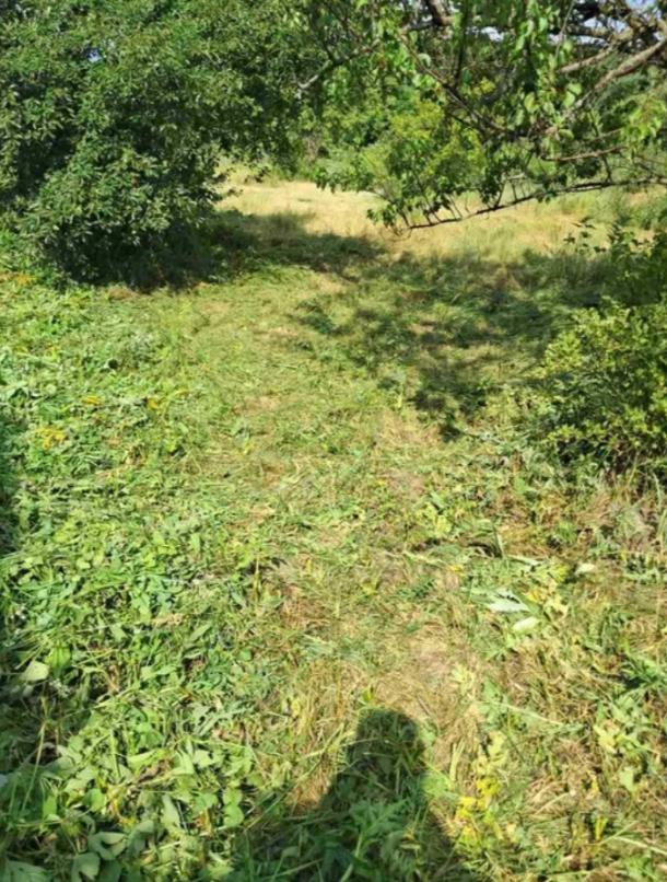 Дом, 2-кімн., Караван(Дергачи), Харьковский район