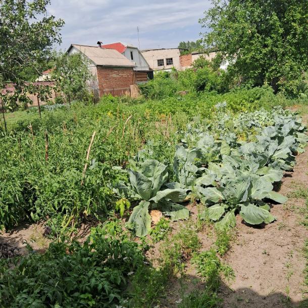 Дом, 3-кімн., Солоницевка, Харьковский район