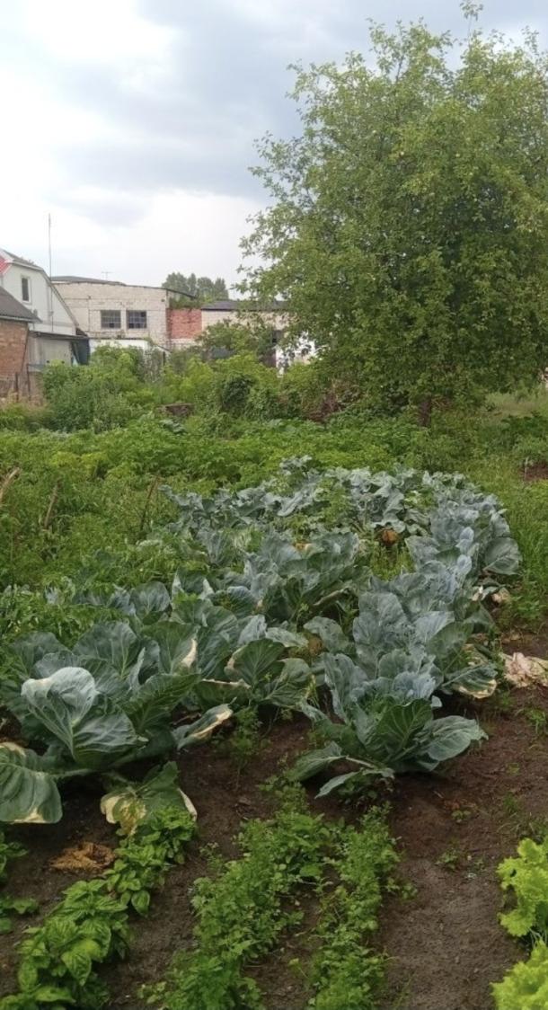 Дом, 3-кімн., Солоницевка, Харьковский район