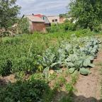 дом, Солоницевка, Харьковская область