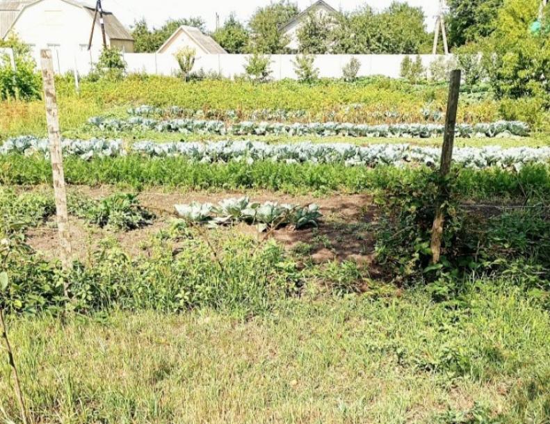 Дом, 3-кімн., Должик(Золочев), Богодуховский район