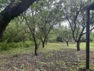 дом, Введенка, Харьковская область