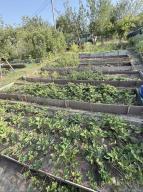 дом, Харьков, Ледное