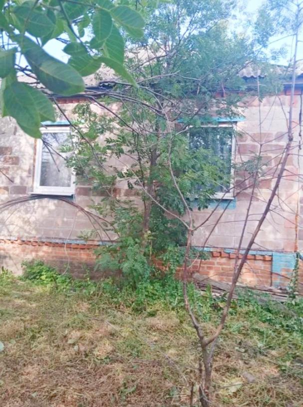 Дом, 4-кімн., Шелудьковка, Чугуевский район