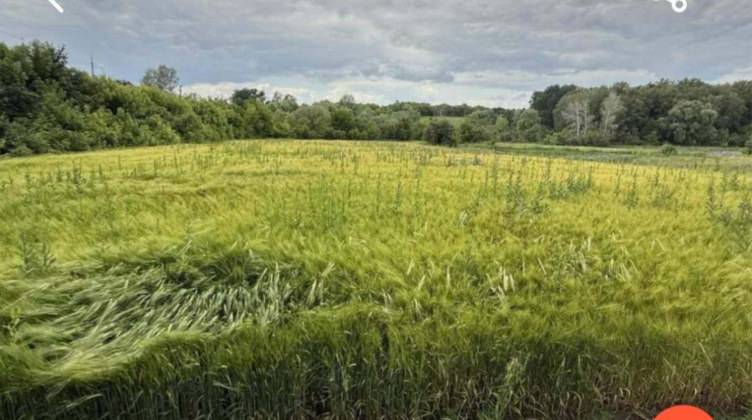 Дом, 2-кімн., Шаровка (Богодух.), Богодуховский район