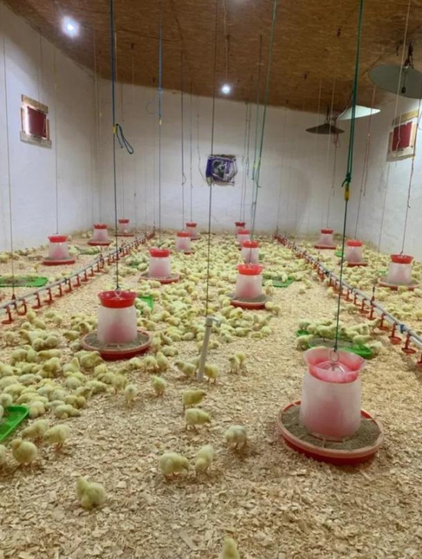 Дом, 3-кімн., Лизогубовка, Харьковский район