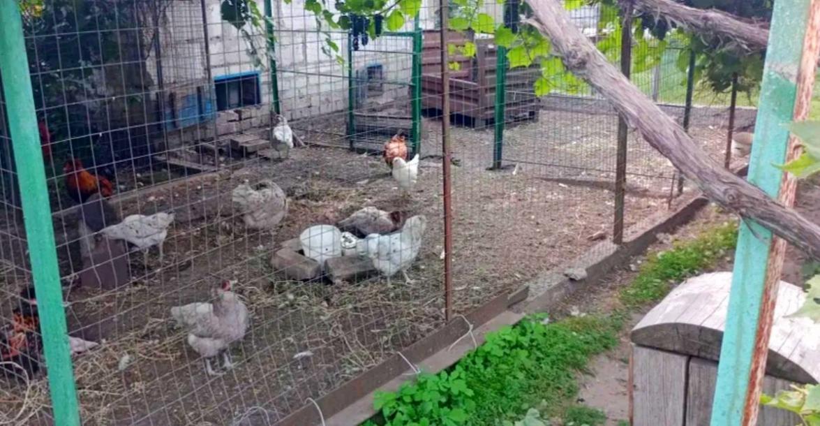 Дом, 6-кімн., Харьков, Основа Дом, 6-кімн., Харьков, Основа