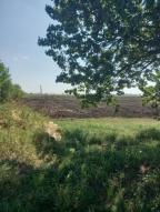 дом, Коробочкино, Харьковская область