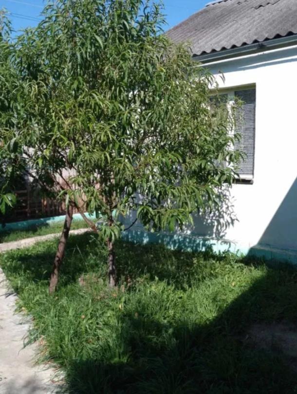 Купить дом, Харьков, СОРТИРОВКА