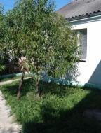 дом, Харьков, СОРТИРОВКА