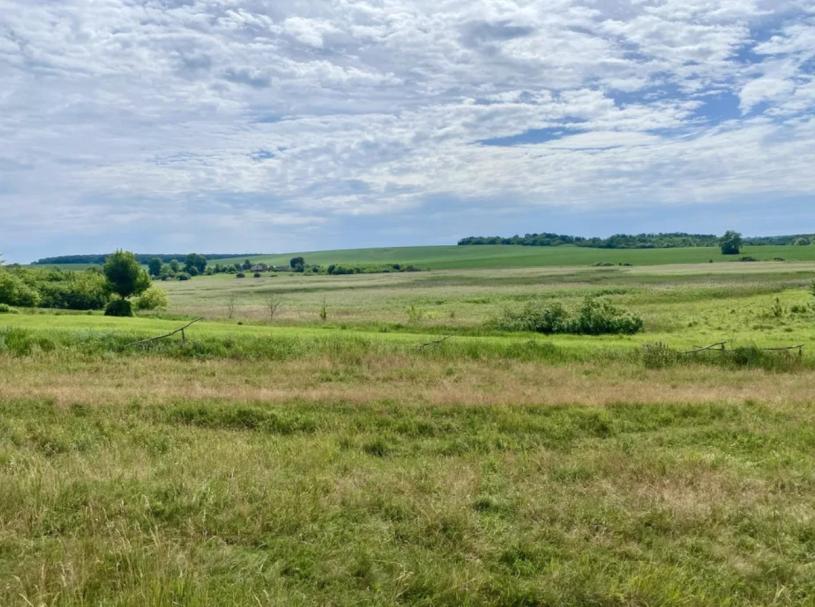 Дом, 4-кімн., Новая Водолага, Харьковский район