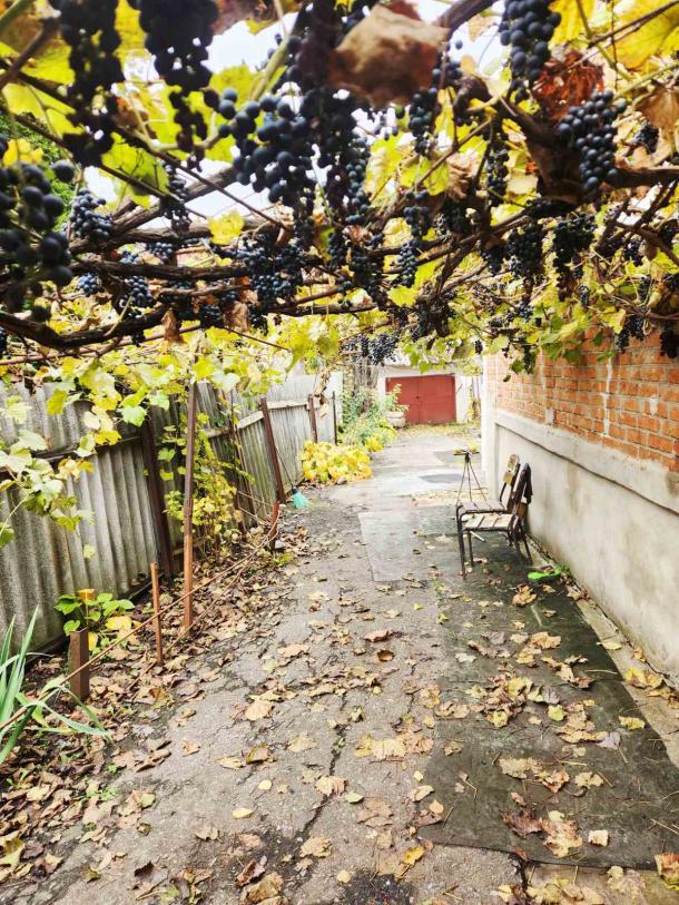 Дом на 2 входа, 4-кімн., Харьков, Тюринка Дом на 2 входа, 4-кімн., Харьков, Тюринка