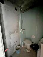 новостройка, Харьков, Новые Дома