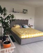 новостройка, Харьков, Алексеевка